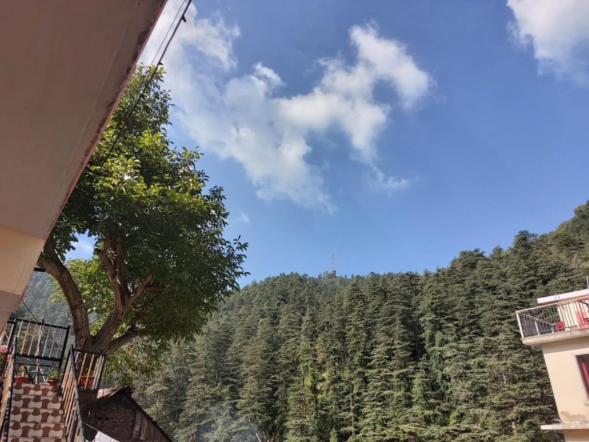 Shimla Pines Homestay Ngoại thất bức ảnh