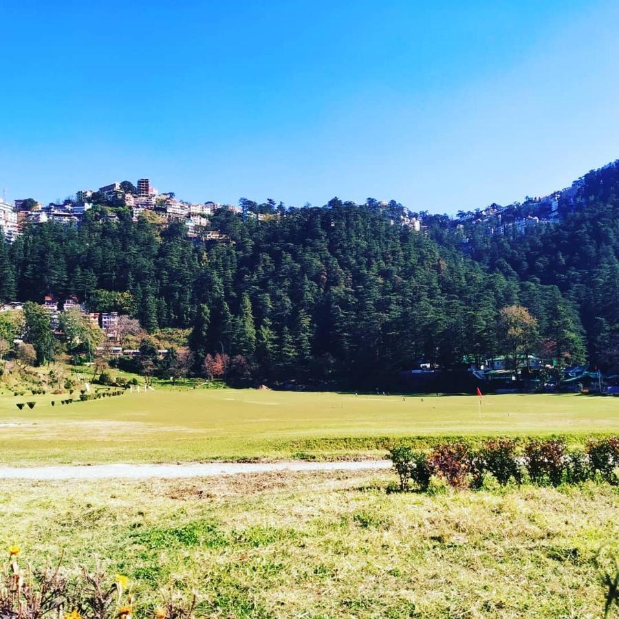Shimla Pines Homestay Ngoại thất bức ảnh